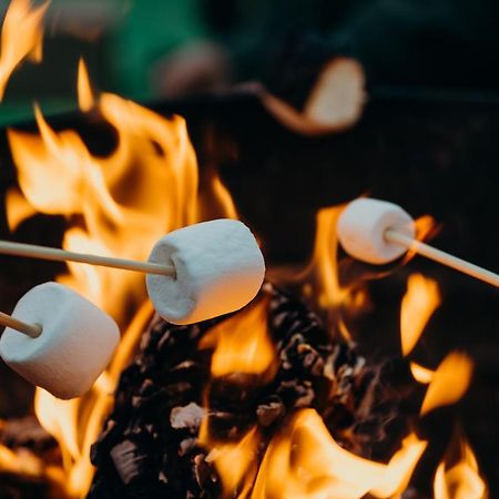 Fen Meadows Glamping - Luxury Cabins And Bell Tents Cambridge  Exterior foto