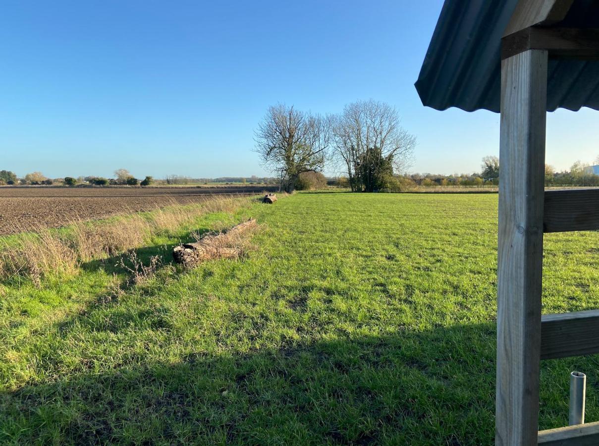 Fen Meadows Glamping - Luxury Cabins And Bell Tents Cambridge  Exterior foto