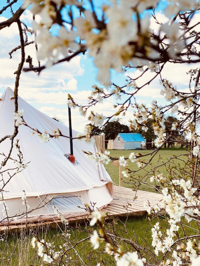 Fen Meadows Glamping - Luxury Cabins And Bell Tents Cambridge  Exterior foto
