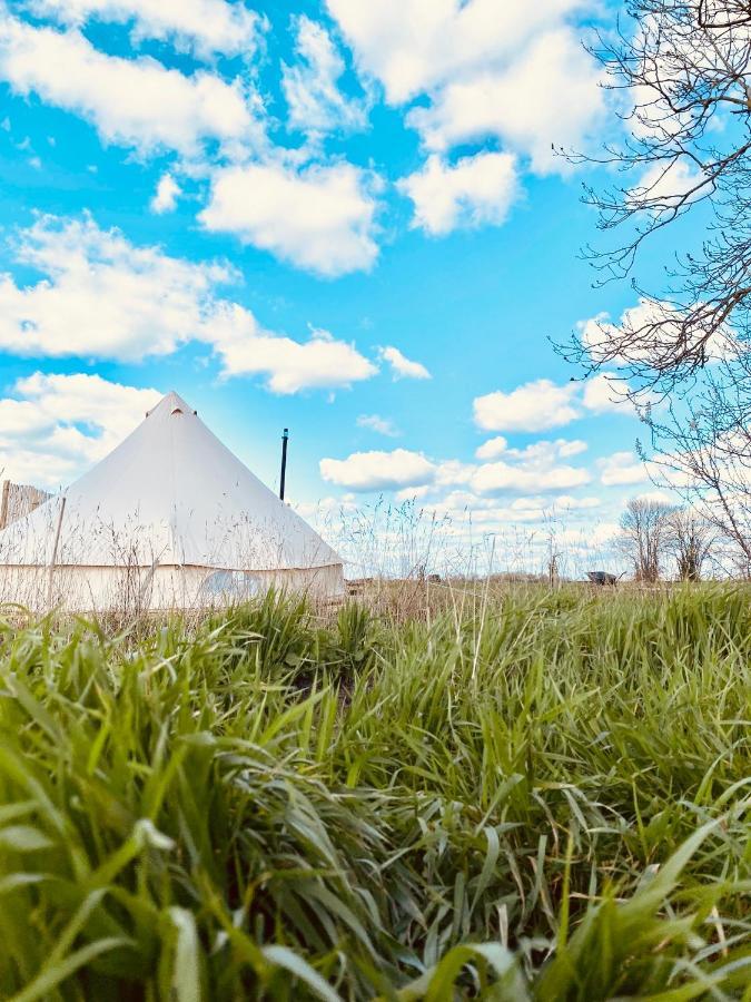 Fen Meadows Glamping - Luxury Cabins And Bell Tents Cambridge  Exterior foto